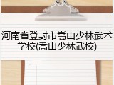 河南省登封市嵩山少林武术学校(嵩山少林武校)
