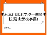 少林嵩山武术学校一年多少钱(嵩山武校学费)