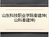 山东科技职业学院秦建坤(山科秦建坤)