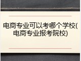 电商专业可以考哪个学校(电商专业报考院校)
