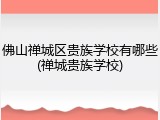 佛山禅城区贵族学校有哪些(禅城贵族学校)