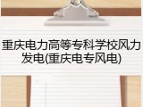 重庆电力高等专科学校风力发电(重庆电专风电)