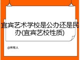 宜宾艺术学校是公办还是民办(宜宾艺校性质)