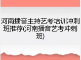 河南播音主持艺考培训冲刺班推荐(河南播音艺考冲刺班)
