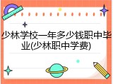 少林学校一年多少钱职中毕业(少林职中学费)