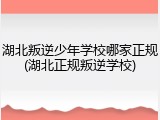 湖北叛逆少年学校哪家正规(湖北正规叛逆学校)