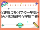 保定唐县补习学校一年费用多少钱(唐县补习学校年费)