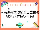 河南少林学校哪个出名技校最多(少林技校出名)