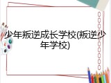 少年叛逆成长学校(叛逆少年学校)