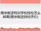 南京叛逆特训学校技校怎么样啊(南京叛逆技校评价)