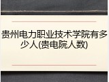 贵州电力职业技术学院有多少人(贵电院人数)
