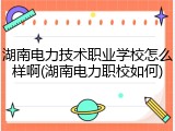 湖南电力技术职业学校怎么样啊(湖南电力职校如何)