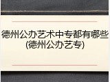 德州公办艺术中专都有哪些(德州公办艺专)