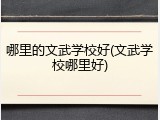 哪里的文武学校好(文武学校哪里好)