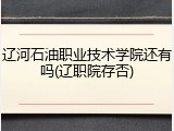 辽河石油职业技术学院还有吗(辽职院存否)