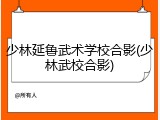 少林延鲁武术学校合影(少林武校合影)