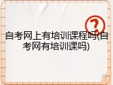 自考网上有培训课程吗(自考网有培训课吗)