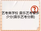 艺考类学校 音乐艺考要多少分(音乐艺考分数)
