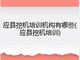 应县挖机培训机构有哪些(应县挖机培训)