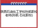 陕西石油化工学校孙凯职校老师(孙凯 石化职校)