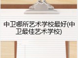 中卫哪所艺术学校最好(中卫最佳艺术学校)