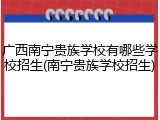广西南宁贵族学校有哪些学校招生(南宁贵族学校招生)