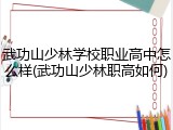 武功山少林学校职业高中怎么样(武功山少林职高如何)