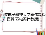 西安电子科技大学秦伟教授资料(西电秦伟教授)