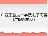 广西职业技术学院电子商务(广职院电商)