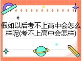 假如以后考不上高中会怎么样呢(考不上高中会怎样)