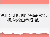 凉山金阳县哪里有单招培训机构(凉山单招培训)