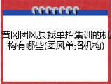 黄冈团风县找单招集训的机构有哪些(团风单招机构)