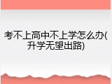 考不上高中不上学怎么办(升学无望出路)