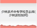 少林武术中专学校怎么样(少林武校如何)