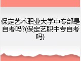 保定艺术职业大学中专部是自考吗?(保定艺职中专自考吗)