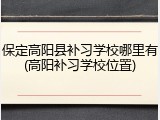 保定高阳县补习学校哪里有(高阳补习学校位置)