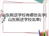山东叛逆学校有哪些名字(山东叛逆学校名单)