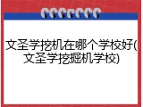 文圣学挖机在哪个学校好(文圣学挖掘机学校)