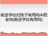 叛逆学校对孩子有用吗中职老师(叛逆学校有用吗)