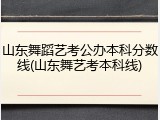 山东舞蹈艺考公办本科分数线(山东舞艺考本科线)