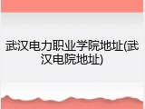 武汉电力职业学院地址(武汉电院地址)