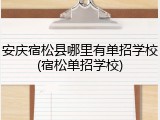 安庆宿松县哪里有单招学校(宿松单招学校)