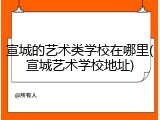 宣城的艺术类学校在哪里(宣城艺术学校地址)