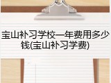 宝山补习学校一年费用多少钱(宝山补习学费)