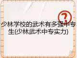 少林学校的武术有多强中专生(少林武术中专实力)