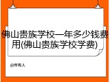 佛山贵族学校一年多少钱费用(佛山贵族学校学费)