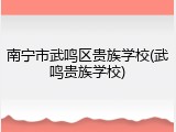 南宁市武鸣区贵族学校(武鸣贵族学校)