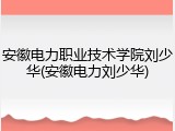 安徽电力职业技术学院刘少华(安徽电力刘少华)