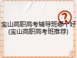 宝山高职高考辅导班哪个好(宝山高职高考班推荐)