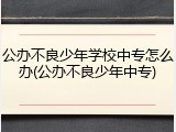 公办不良少年学校中专怎么办(公办不良少年中专)